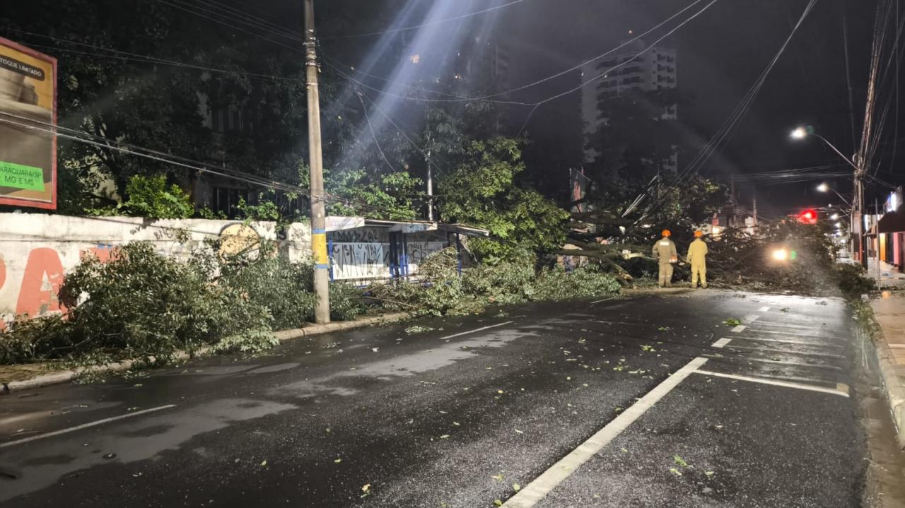 Foto 25 de 67 — TEMPORAL EM FOTOS: veja imagens de destruição em Araraquara